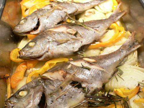 arrosto di grgnitore2.JPG